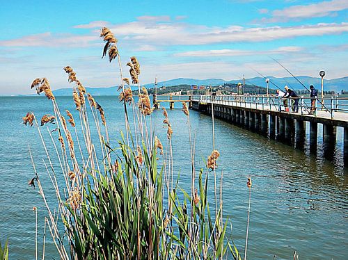 Gone Fishing bij Sant Arcangelo