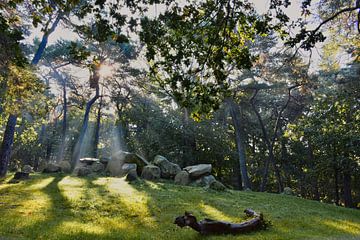 Zonneharpen op een hunnebed in het bos van Miny'S