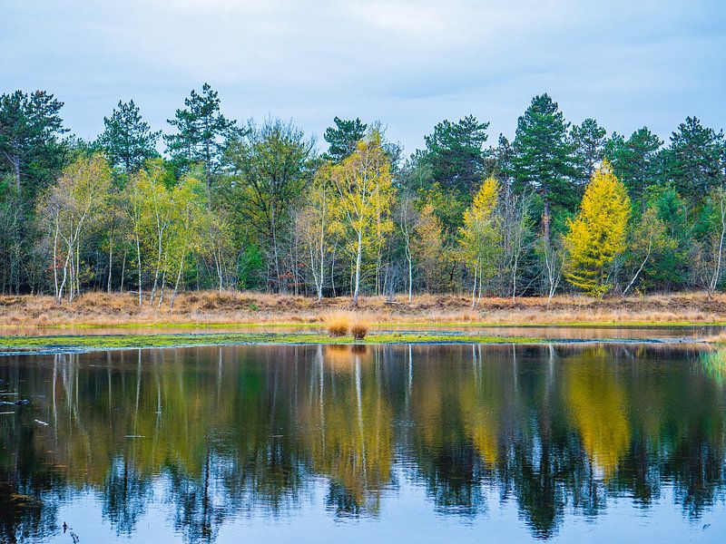 herfst 2022 1 van snippefotografie