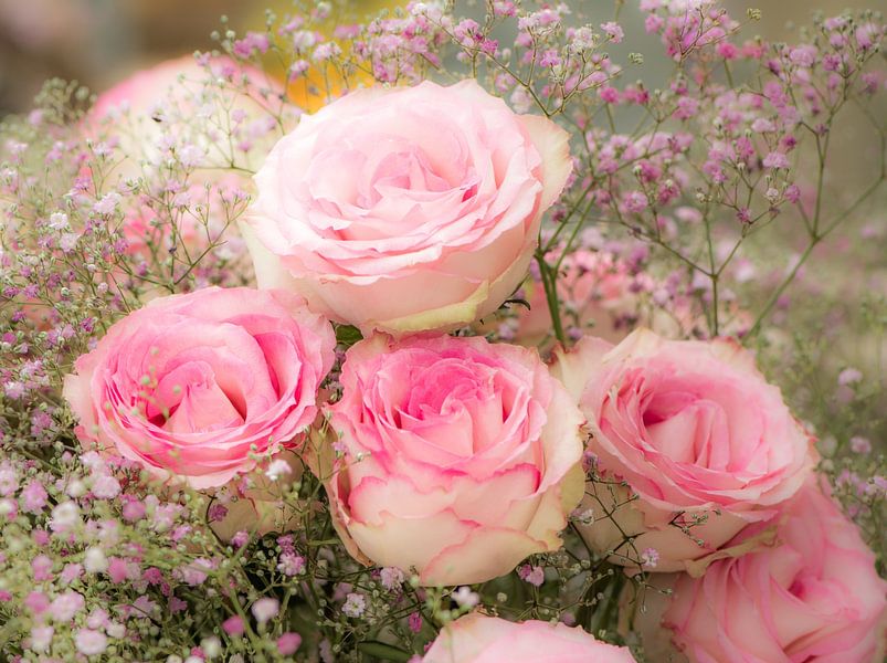 Flowers decoration with pink roses by ManfredFotos
