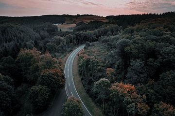 Duitse weg in het bos