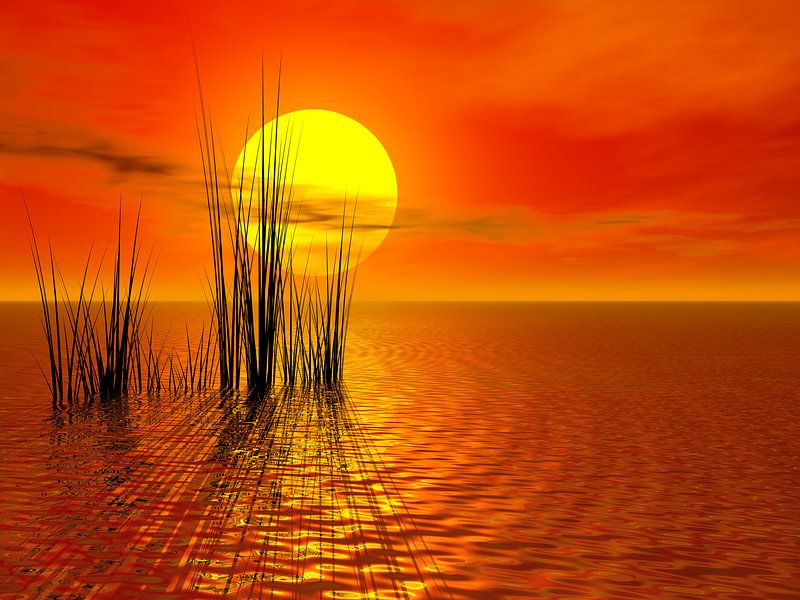 Sunset by Gabi Siebenhühner