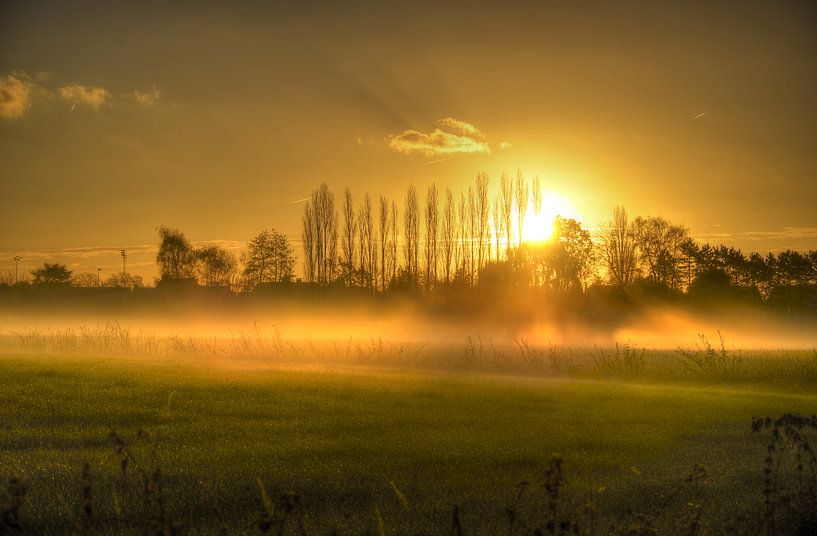 Golden meadow by Benny Van Bockel