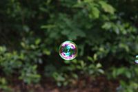 Bubbels!
