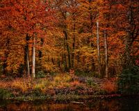 Herfst Kleuren