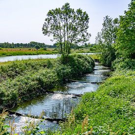 Vistrappen in het Vechtdal in Overijssel van Henk Alblas