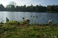 natuur