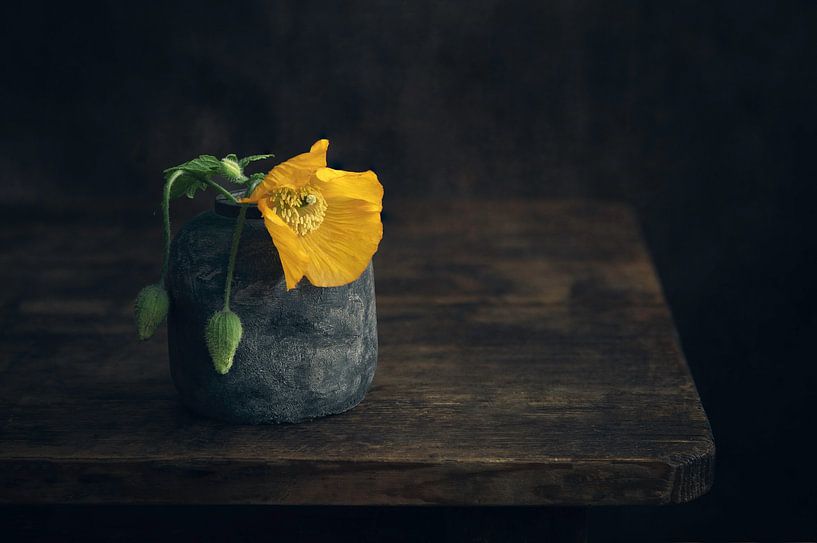 Modern stilleven van Oranje papaver van Silvia Thiel