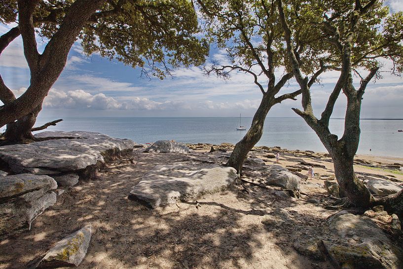 Plage des Dames, Noirmoutier von Jan Piet Hartman