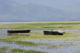 2 Fischerboote auf dem Kerkini See Griechenland