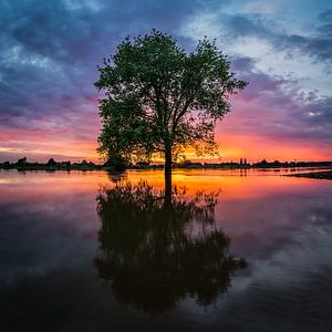 Reflectie
