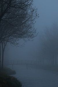 Morgen im Nebel