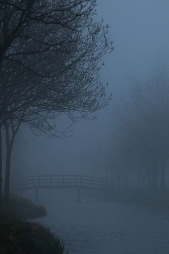 Matin dans le brouillard