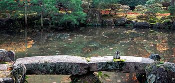 Japanse tuin met stil water en brug