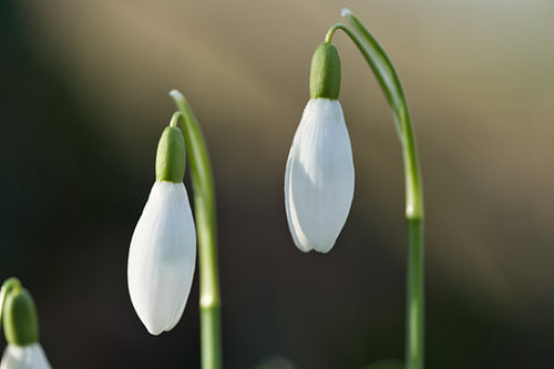 Samen in Stilte