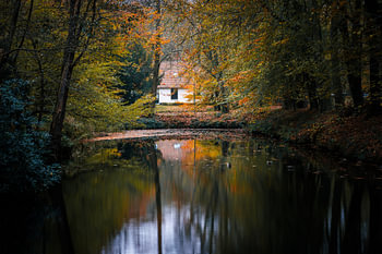 Reflets d'automne rustiques