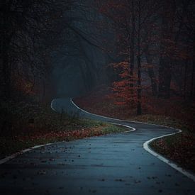 Radweg im Wald im Herbst bei Nebel von Robbert van Rijsewijk