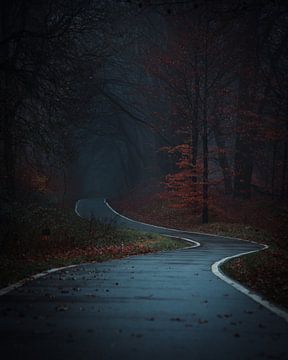 Fietspad in bos tijdens de herfst in de mist van Robbert van Rijsewijk