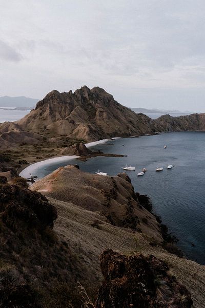Komodo island by Inge Pieck