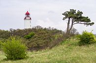 Der Leuchtturm Dornbusch auf der Insel Hiddensee van Rico Ködder thumbnail