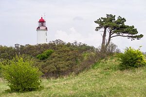 Der Leuchtturm Dornbusch auf der Insel Hiddensee