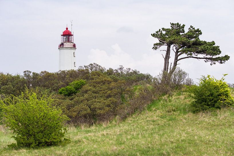 Der Leuchtturm Dornbusch auf der Insel Hiddensee van Rico Ködder