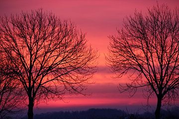 Zonsopgang in roze, rood, paars en oranje