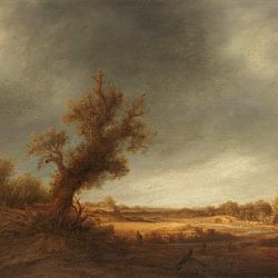 Adriaen van Ostade