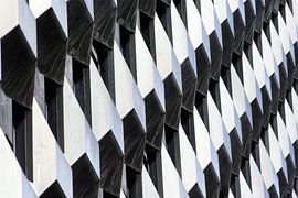 Pattern in black and white 5