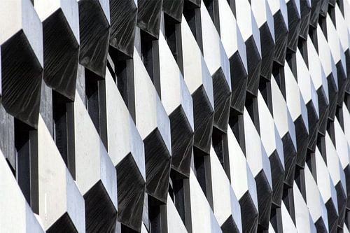 Pattern in black and white 5