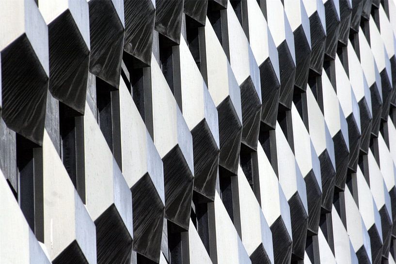 Pattern in black and white 5 von FABIAN Art Gallery