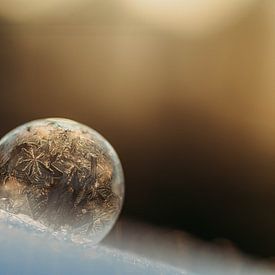 Frozen Bubble by Tessa Heijmer