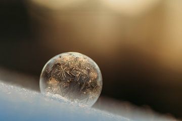 Frozen Bubble van Tessa Heijmer