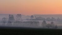 Mystical landscape