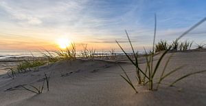 Holländische Strand-Serie 2026 – 1