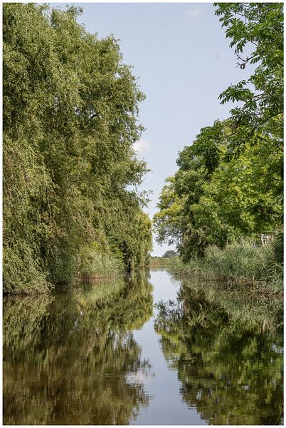 Reflexionen von Kathleen Ooms