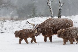 Push in the right direction