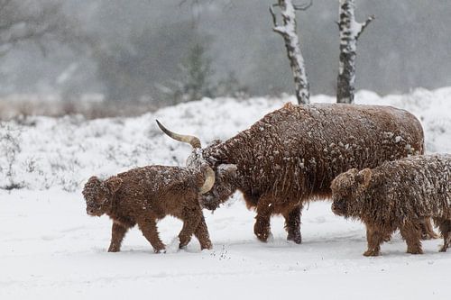 Push in the right direction