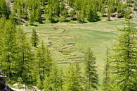 Provence Parc National Du Mercantour rivier van Rene du Chatenier thumbnail