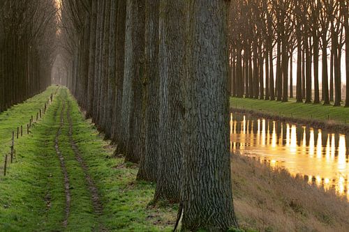 Pad langs kanaal