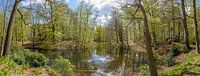 groot panorama van de vijver op landgoed Spanderswoud in 's-Graveland, Wijdemeren, Nederland