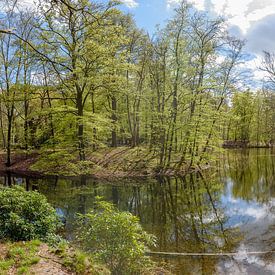 grand panorama de l'étang du domaine de Spanderswoud à 's-Graveland, Wijdemeren, Pays-Bas sur Martin Stevens