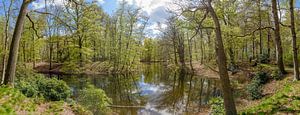 großes Panorama des Teichs auf dem Landgut Spanderswoud in 's-Graveland, Wijdemeren, Niederlande