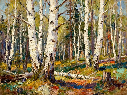 A riot of colour in the birch grove