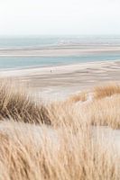 Spring light on the beach