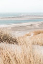 Voorjaarslicht op het Strand