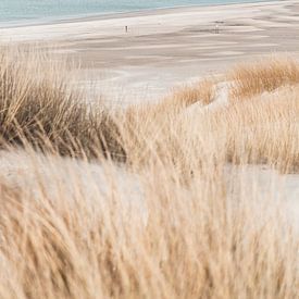 Spring light on the beach by Wouter van der Weerd