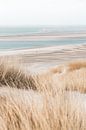 Spring light on the beach by Wouter van der Weerd thumbnail