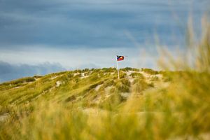 Landscape with dunes on the North Sea island Amrum, Germany sur Rico Ködder