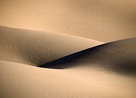 Sensual sand dune. Sahara desert. by Frans Lemmens